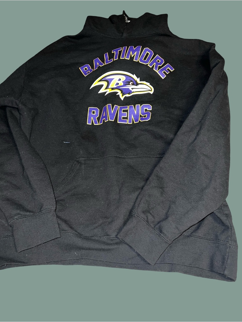Team Apparel Black Hoodie with Purple and Gold Accents